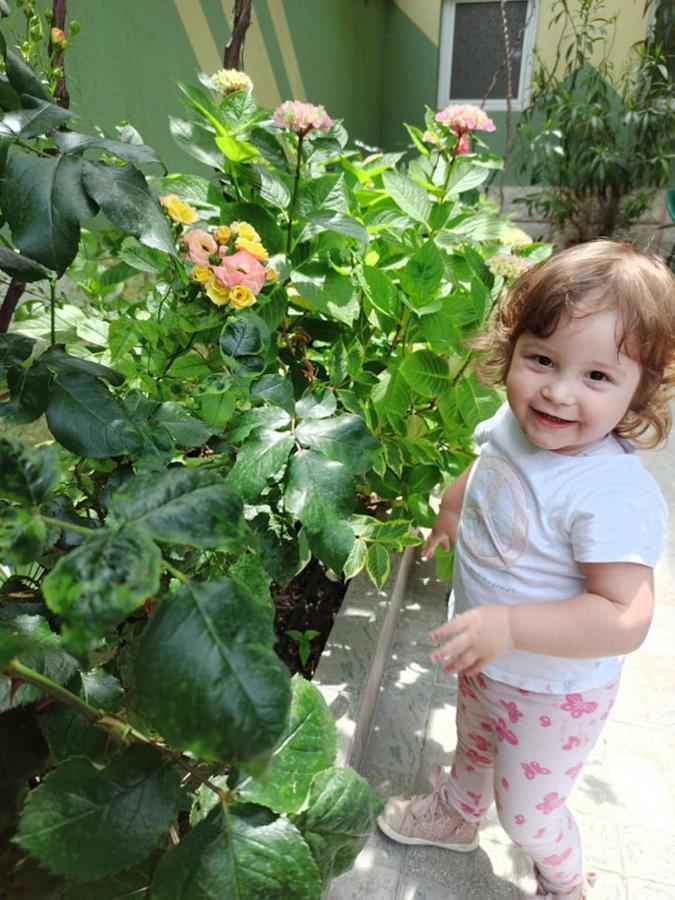 Guest House ,, Ekaterina" نيسيبار المظهر الخارجي الصورة